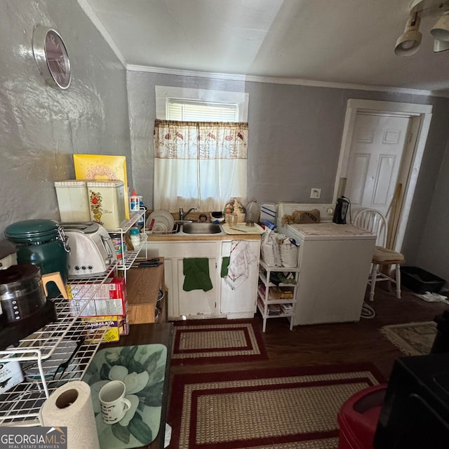 misc room with crown molding and sink