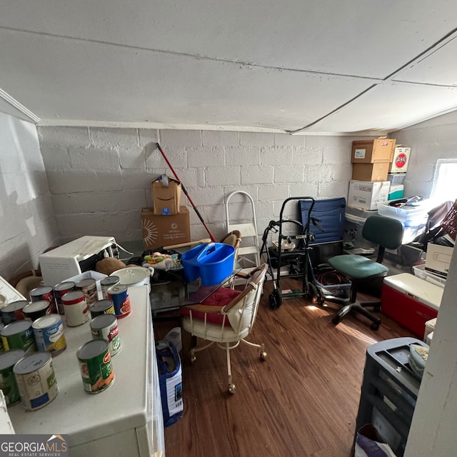 basement featuring wood-type flooring