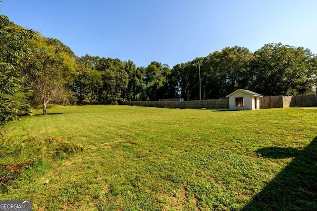 view of yard with a storage unit