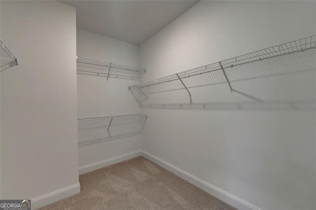 walk in closet featuring light carpet