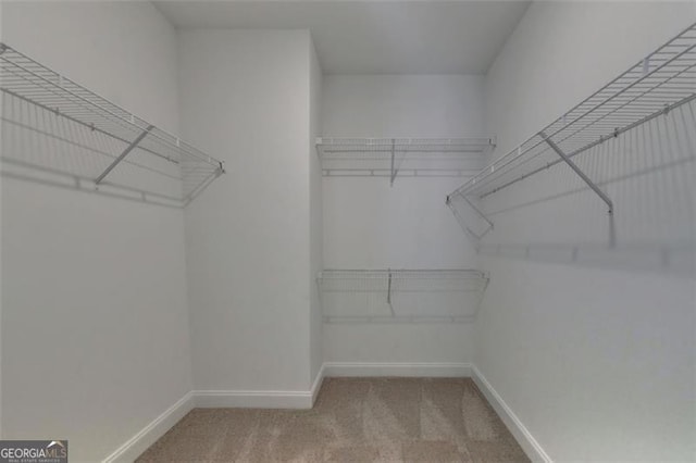 walk in closet featuring carpet