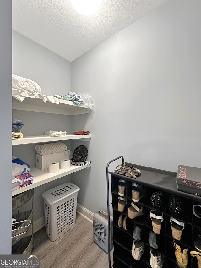 walk in closet featuring wood-type flooring