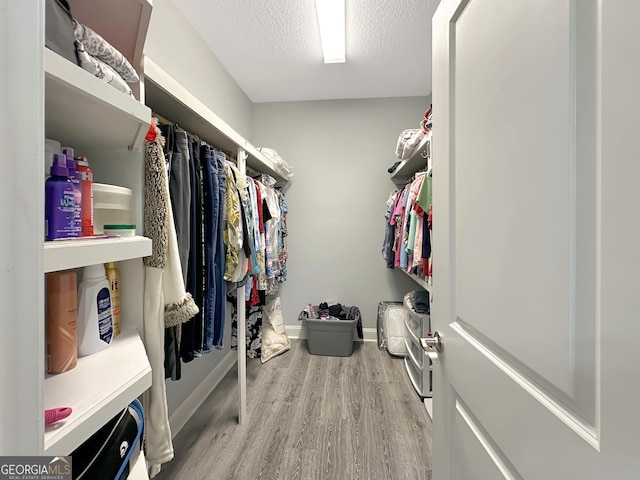 walk in closet with light hardwood / wood-style floors