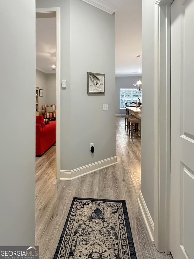 hall with ornamental molding and light hardwood / wood-style flooring