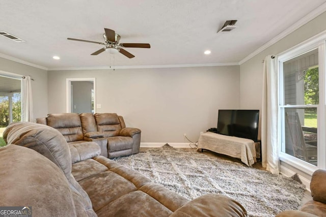 living room featuring ceiling fan and ornamental molding