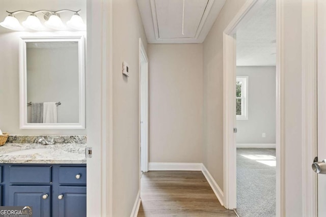 bathroom featuring vanity and hardwood / wood-style floors