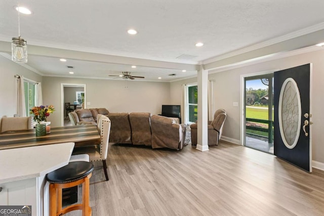 dining space with light hardwood / wood-style floors, crown molding, and ceiling fan