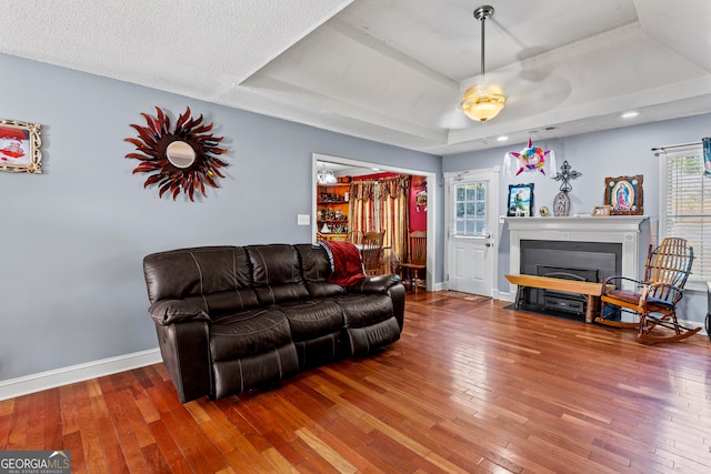 living room featuring hardwood / wood-style flooring and a raised ceiling