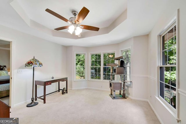 misc room with a wealth of natural light, light colored carpet, and a tray ceiling