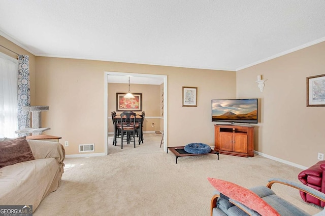 carpeted living room with crown molding and a textured ceiling