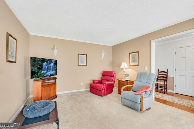 living room with carpet, crown molding, and a textured ceiling