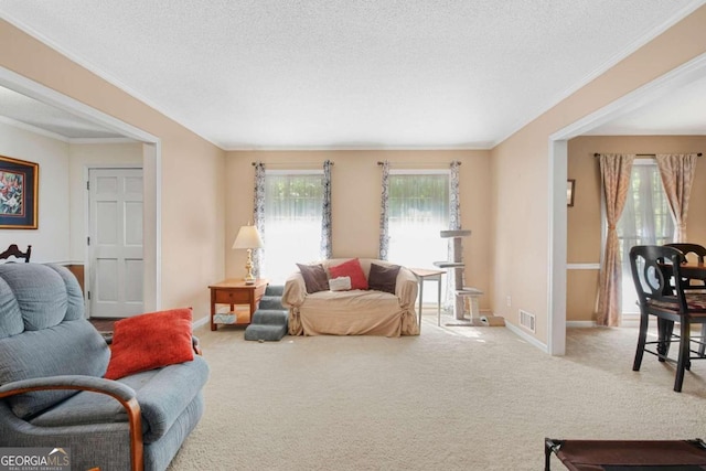 carpeted living room with crown molding, a textured ceiling, and plenty of natural light