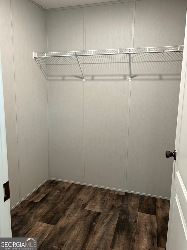 spacious closet with dark wood-type flooring