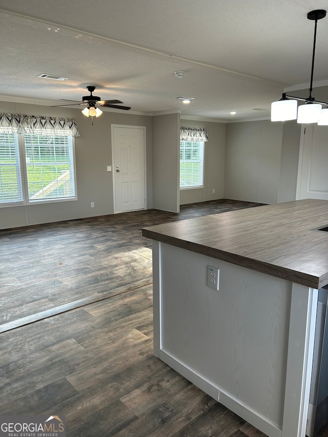 kitchen with ornamental molding, dark hardwood / wood-style floors, and ceiling fan