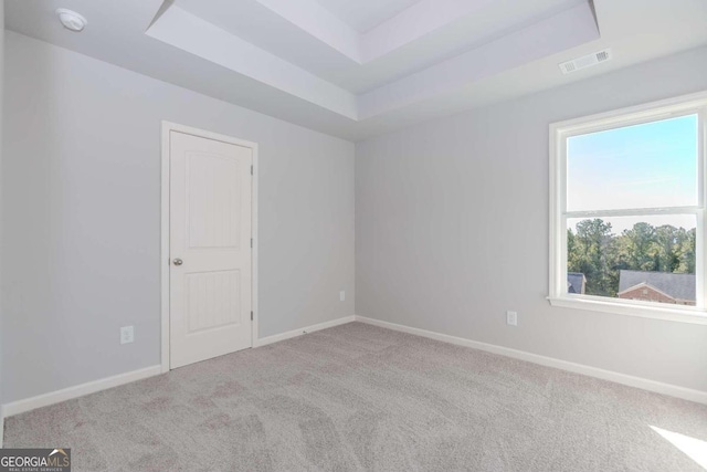 spare room with light carpet and a tray ceiling