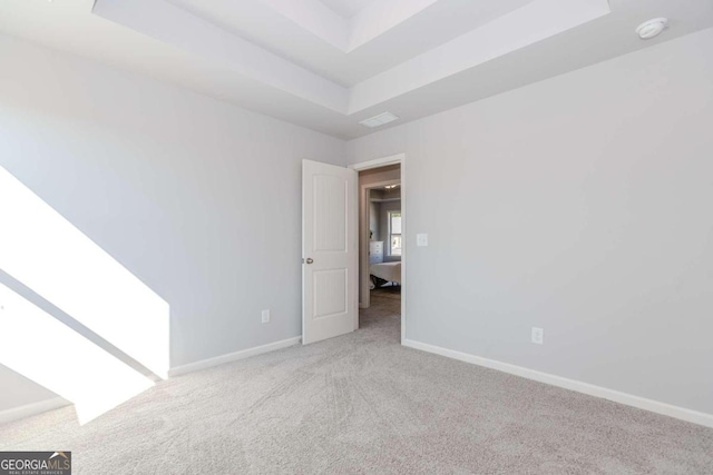 spare room with light colored carpet and a raised ceiling