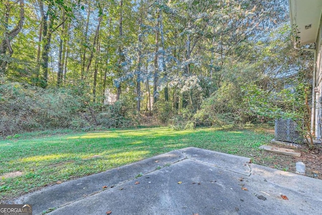 view of yard featuring a patio