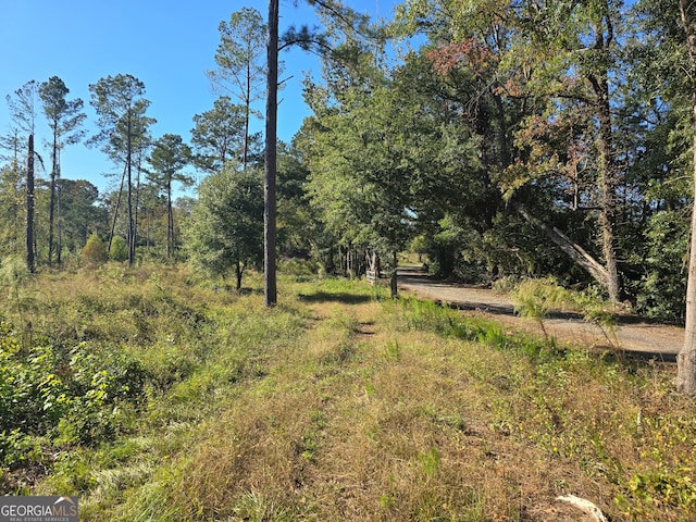 Listing photo 2 for 0 Ralph Wood Rd, Dublin GA 31021