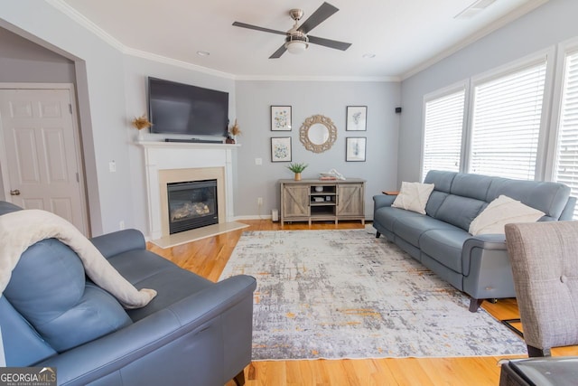 living room featuring ceiling fan, wood-type flooring, and ornamental molding