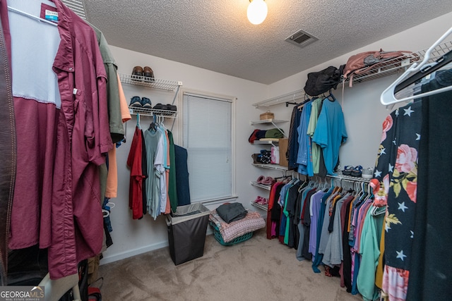 spacious closet featuring carpet flooring