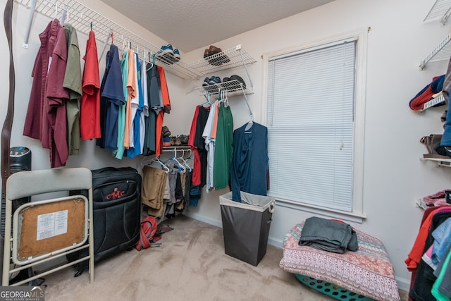 spacious closet featuring light colored carpet