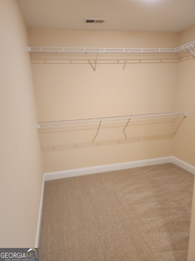 walk in closet featuring carpet