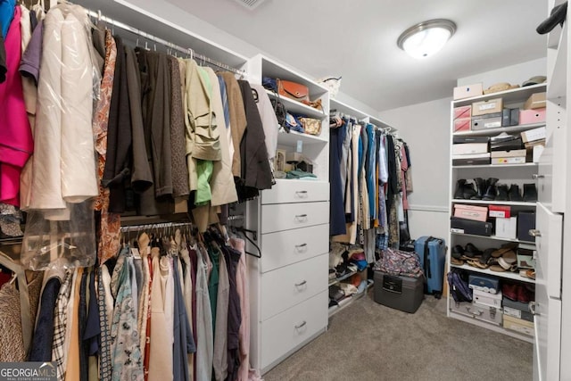 spacious closet with carpet floors