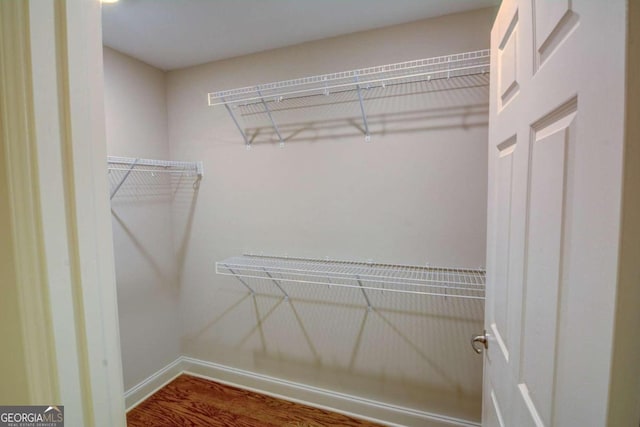 spacious closet with wood-type flooring