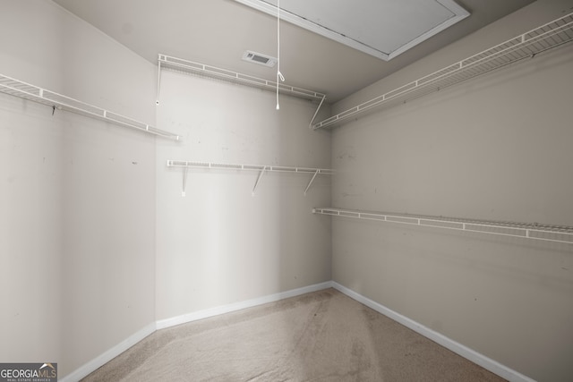 walk in closet featuring carpet flooring