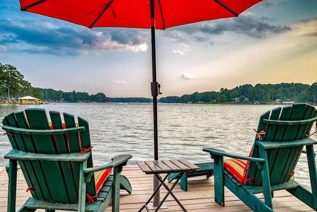 dock area with a water view