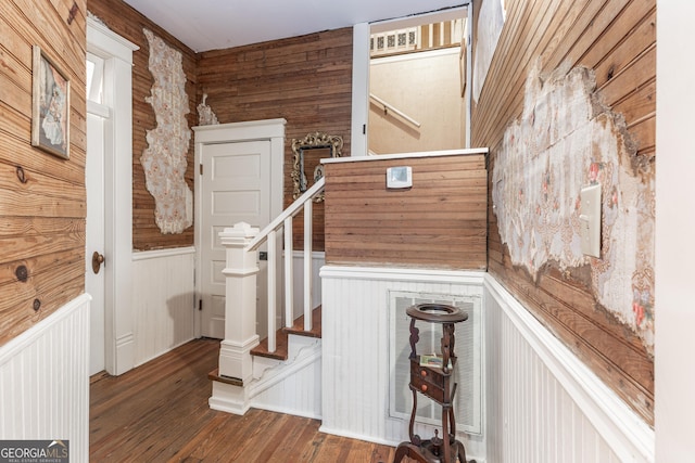 staircase with hardwood / wood-style flooring and wood walls