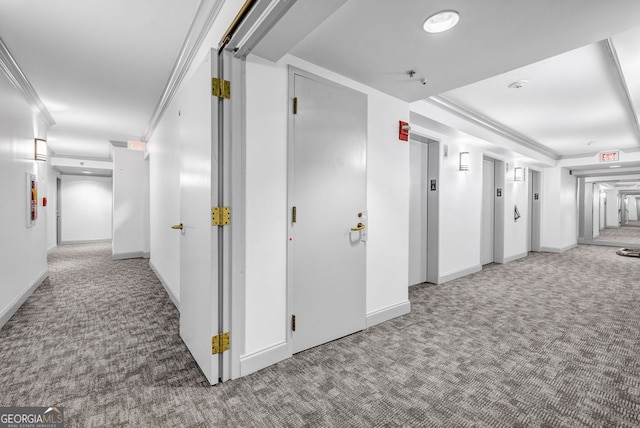 hallway with ornamental molding, carpet floors, and elevator