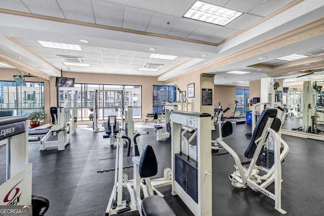 gym featuring a drop ceiling and crown molding