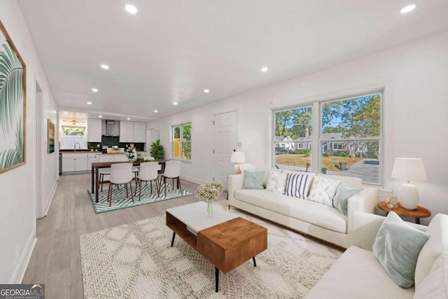 living room with light hardwood / wood-style floors and sink