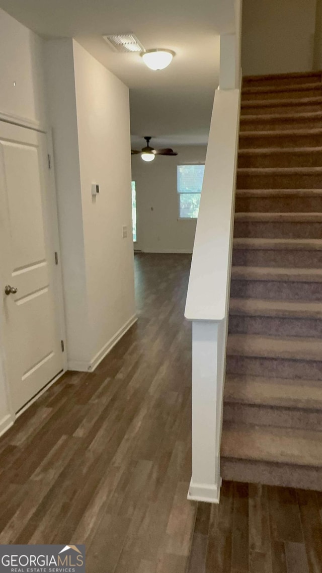 staircase featuring hardwood / wood-style flooring and ceiling fan