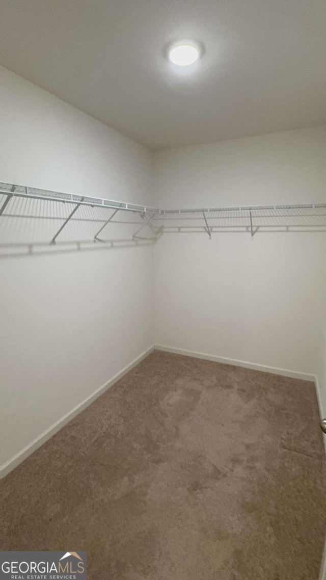 spacious closet with carpet flooring