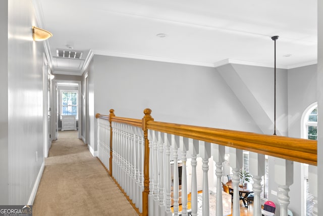 hall featuring ornamental molding, a wealth of natural light, and light colored carpet