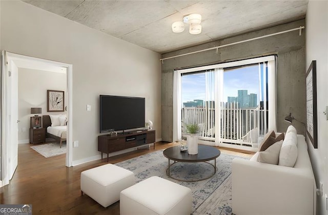 living room featuring hardwood / wood-style floors