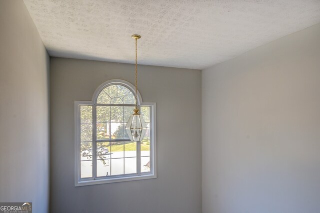 details featuring a textured ceiling