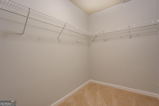 walk in closet with carpet