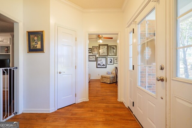 hallway featuring ornamental molding, hardwood / wood-style floors, and a textured ceiling