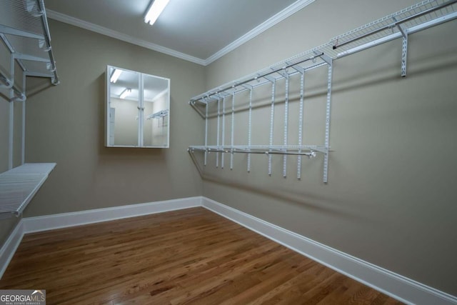 walk in closet featuring hardwood / wood-style flooring