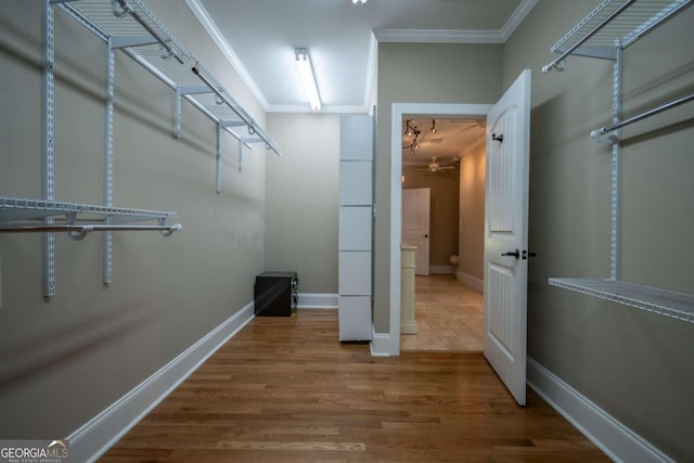 spacious closet featuring hardwood / wood-style floors