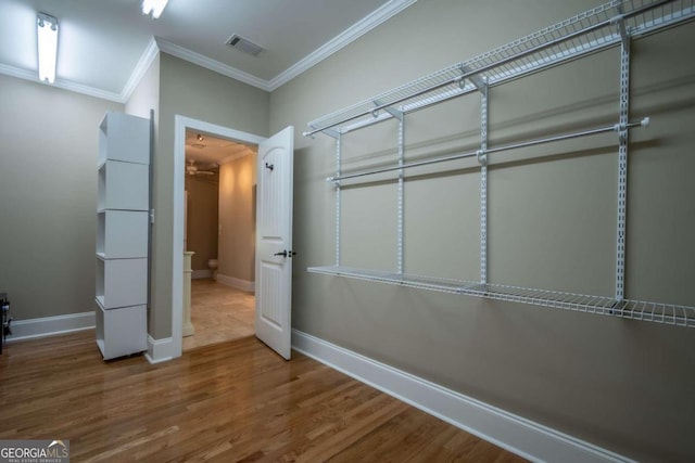 spacious closet with wood-type flooring