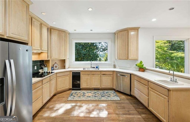 kitchen with hardwood / wood-style floors, sink, a healthy amount of sunlight, and appliances with stainless steel finishes