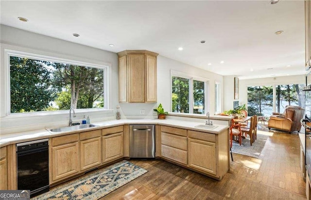 kitchen with dark wood-type flooring, a healthy amount of sunlight, and sink