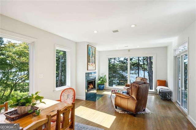 living room with wood-type flooring