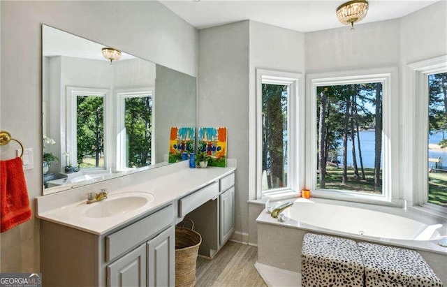 bathroom featuring hardwood / wood-style floors, vanity, and a tub