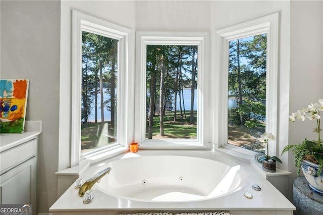 bathroom with a wealth of natural light and a washtub