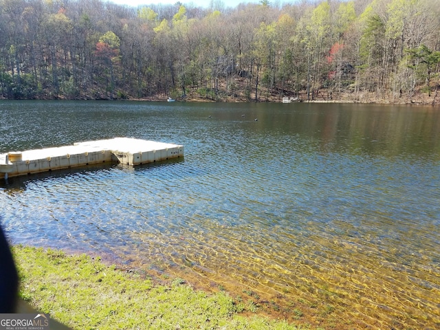 view of dock with a water view